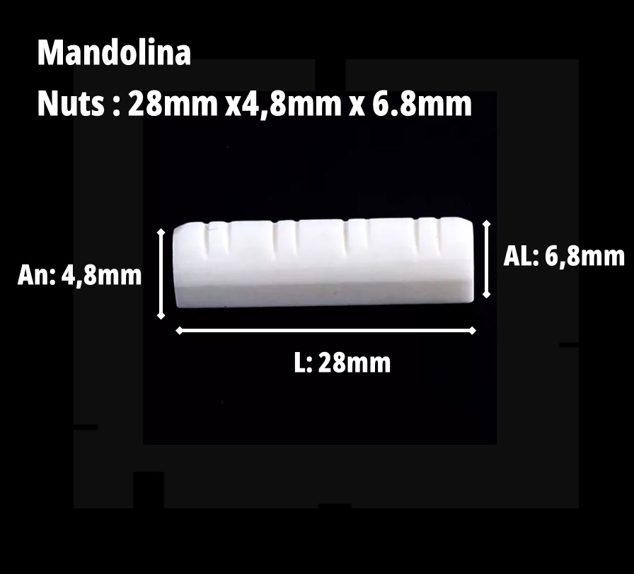 NuTs plástico  Mandolina 28mm x 6.8mm x 4.8mm (hueso soporte de cuerdas)