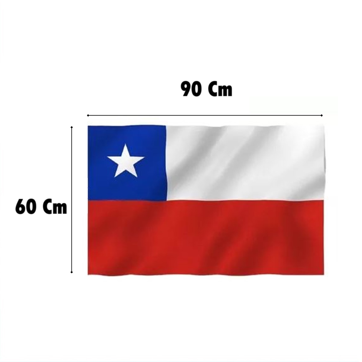 Bandera Chilena