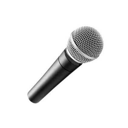 Micrófono Vocal Profesional dinámico Sm58 Weisre